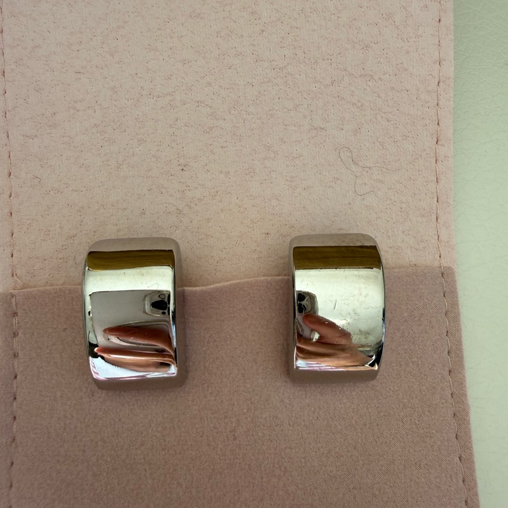 Salvatore Ferragamo Silver Earrings